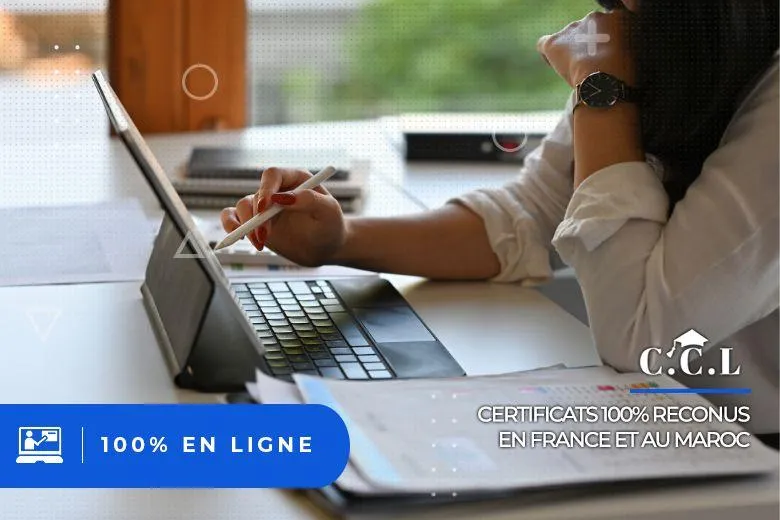 Expert en Audit Interne : Préparation Intensive à la Certification CIA (Certified Internal Auditor)